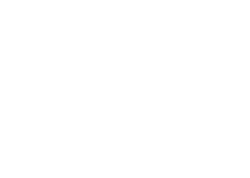 Lights-Camera-Scoop-Logo